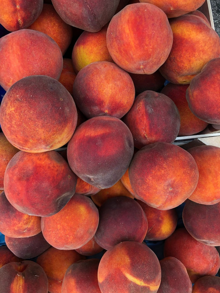 Native Raspberry & Smoked Peach Fermented Hot Sauce | Ziggy's Wild Foods